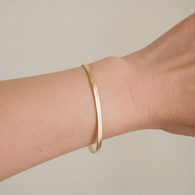 Redemption Snake Chain Bracelet